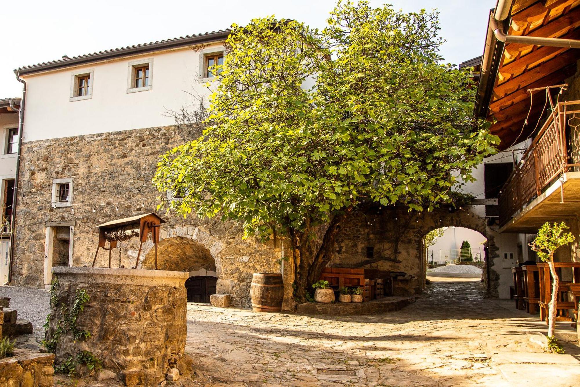 Boutique Rooms & Winery Zorz Vipava Exterior photo